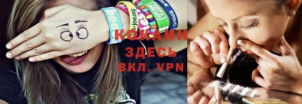 винт Абаза