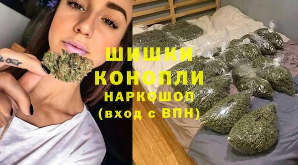 винт Абаза