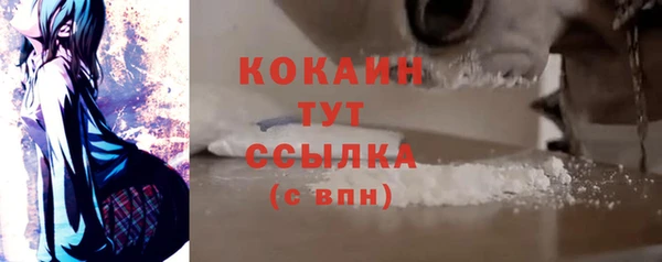винт Абаза
