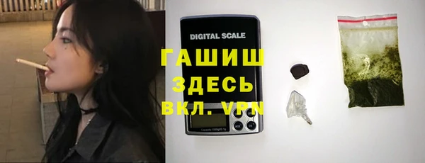 прущие грибы Алзамай