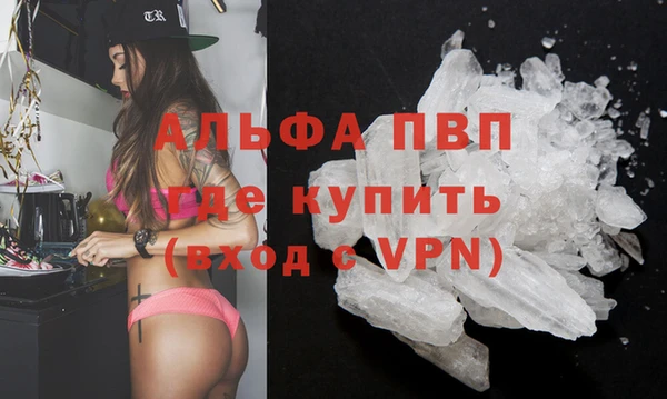 винт Абаза