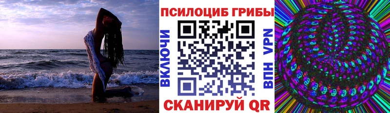магазин продажи наркотиков  Россошь  Галлюциногенные грибы GOLDEN TEACHER 