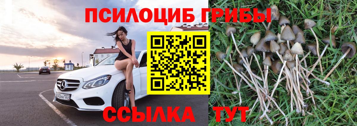Галлюциногенные грибы ЛСД  Вход с VPN  Россошь 