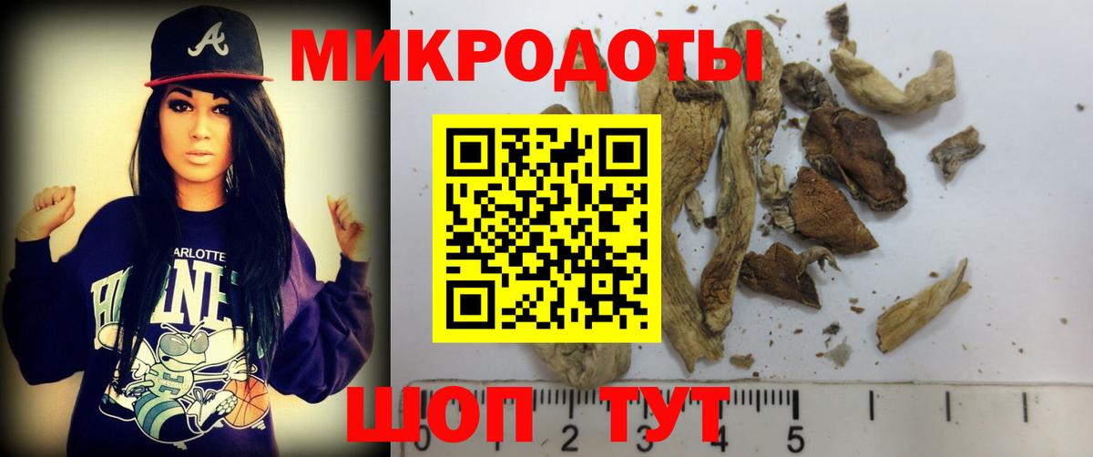 Галлюциногенные грибы Psilocybe Россошь